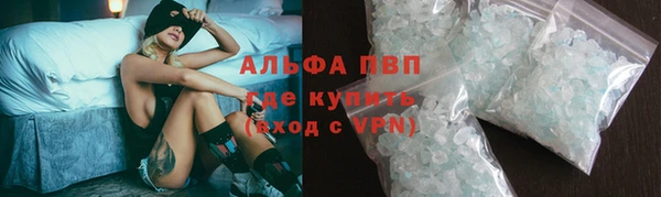 ГАЛЛЮЦИНОГЕННЫЕ ГРИБЫ Белоозёрский