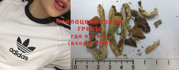 круглые Белокуриха