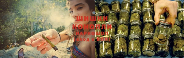 круглые Белокуриха