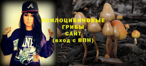 прущая мука Снежногорск