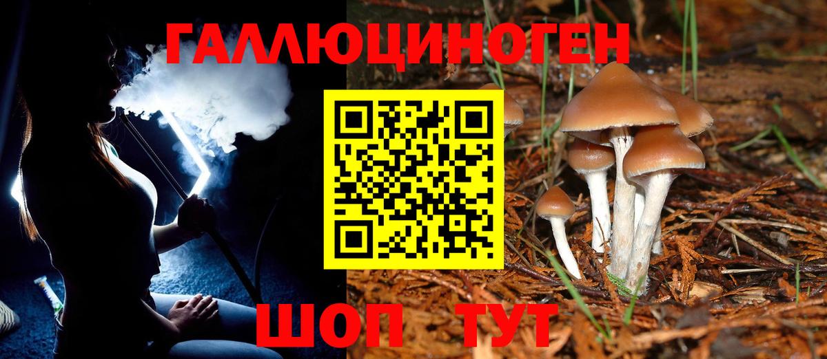 Галлюциногенные грибы GOLDEN TEACHER Горно-Алтайск
