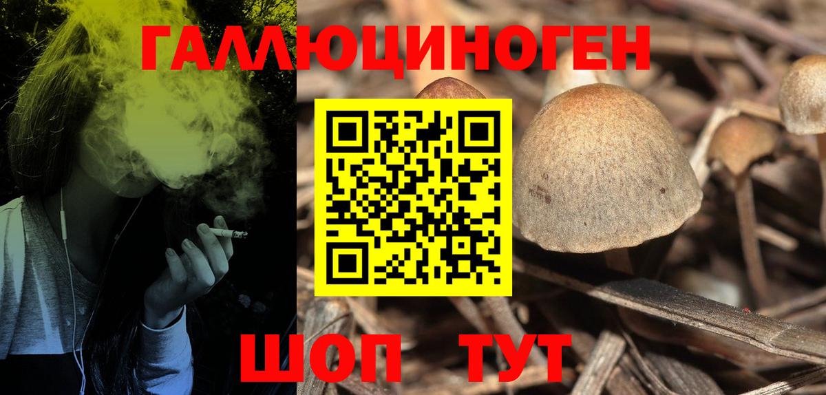 Псилоцибиновые грибы GOLDEN TEACHER  Вход с VPN  Горно-Алтайск 