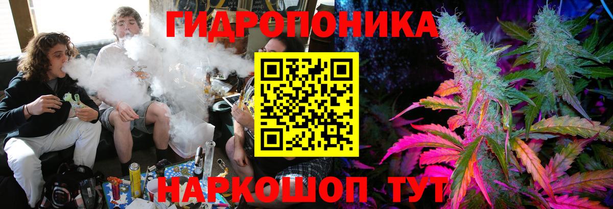 Бошки Шишки планчик  Шишки марихуана конопля  Горно-Алтайск  Вход с VPN  Конопля ГИДРОПОН 